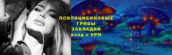 дурь Белоозёрский